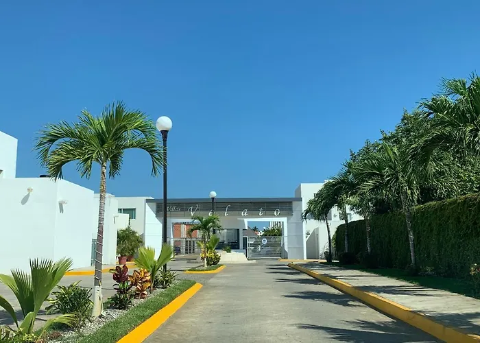 Velato